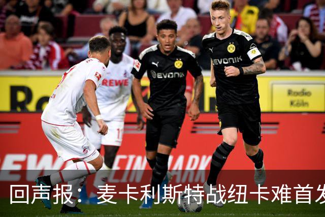 回声报：麦卡利斯特战纽卡难首发，阿劳霍或搭范戴克
