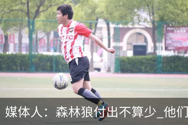 媒体人：森林狼付出不算少 他们确实需要变化 之前的阵容到上限了