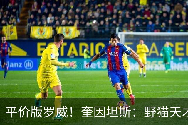 平价版罗威！奎因坦斯：野猫天才内线 存伤病隐患 罚球致敬米切罗