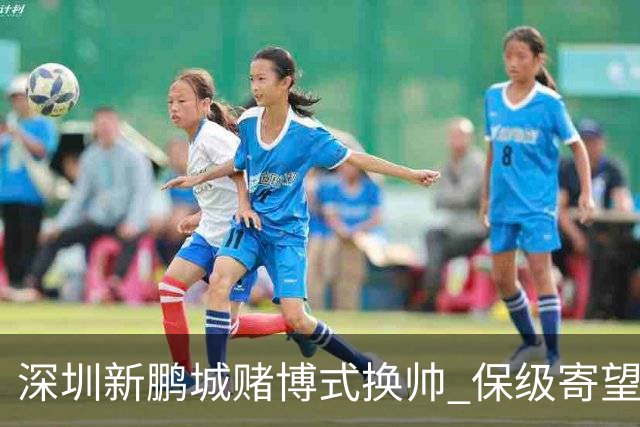 深圳新鹏城赌博式换帅 保级寄望意大利心理大师