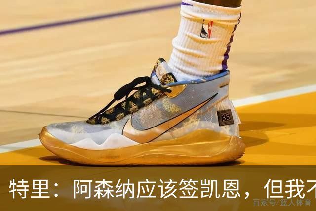 特里：阿森纳应该签凯恩，但我不确定有谁愿意去那这才是问题所在