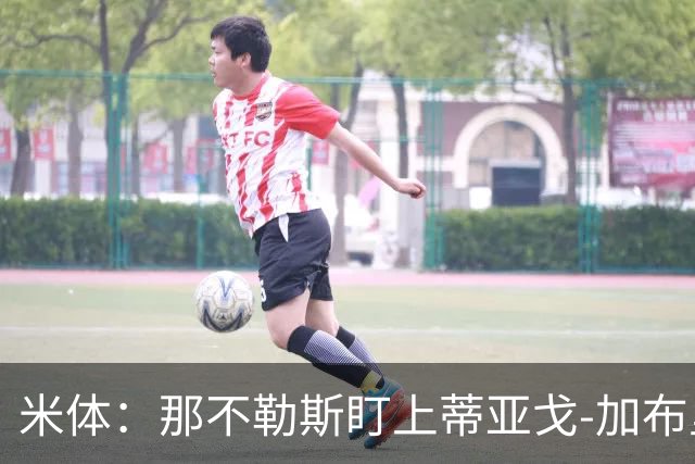 米体：那不勒斯盯上蒂亚戈-加布里埃尔，要求至少2000万欧