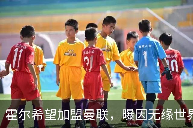 霍尔希望加盟曼联，曝因无缘世界杯与纽卡闹翻！转会费至少5000万